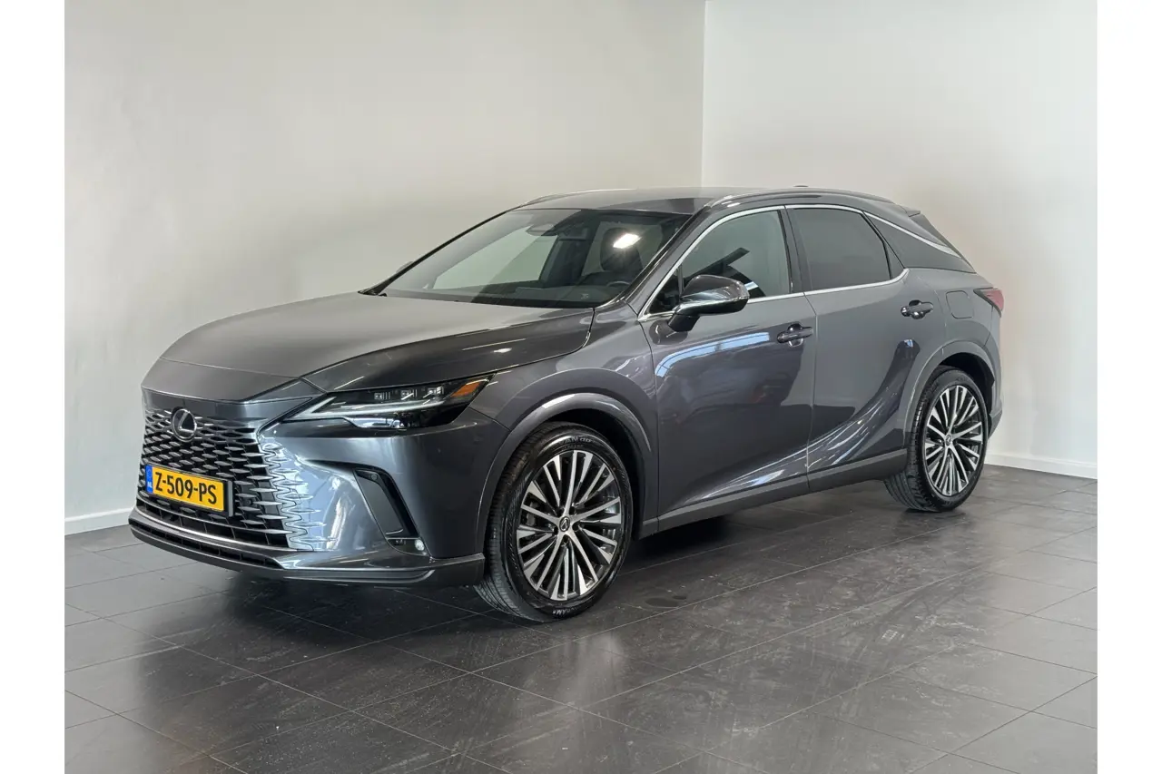 Lexus RX 450H+ Plug-In Hybrid Luxury Line 2024, foto 1