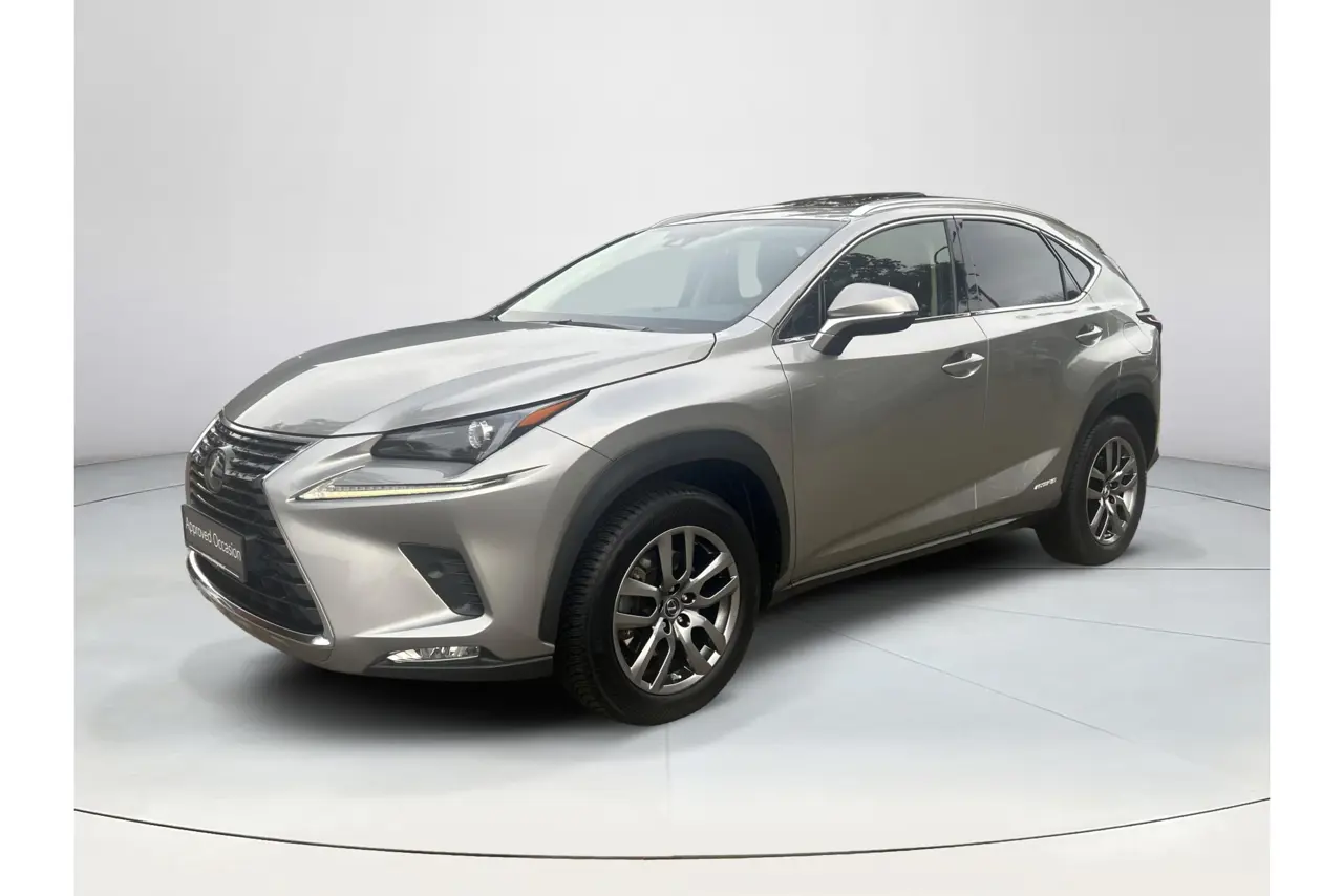 Lexus NX 300H AWD Luxury Edition 2019, foto 1