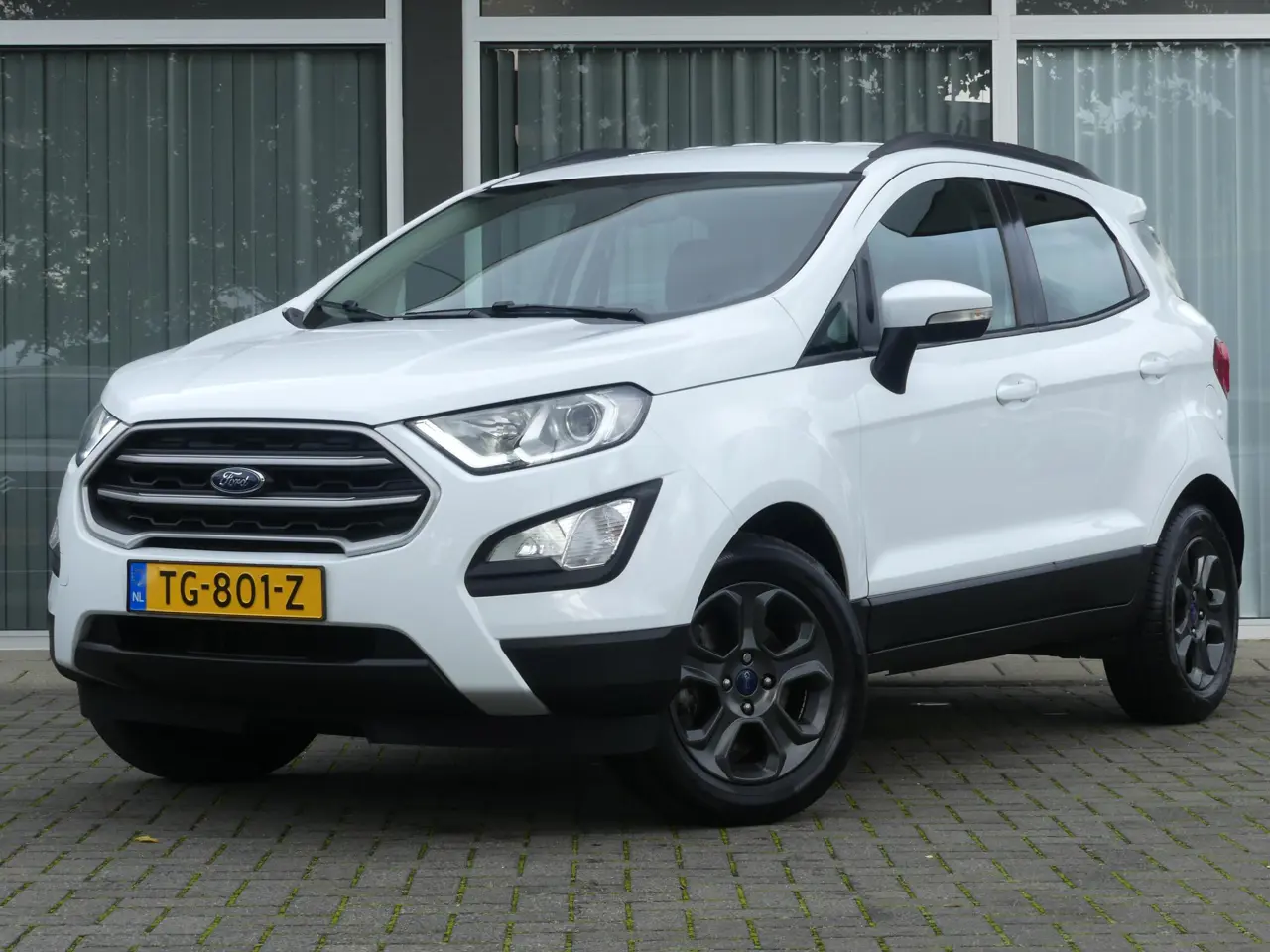Ford EcoSport 1.0 Ecoboost Trend Ultimate Trekhaak 2018, foto 1