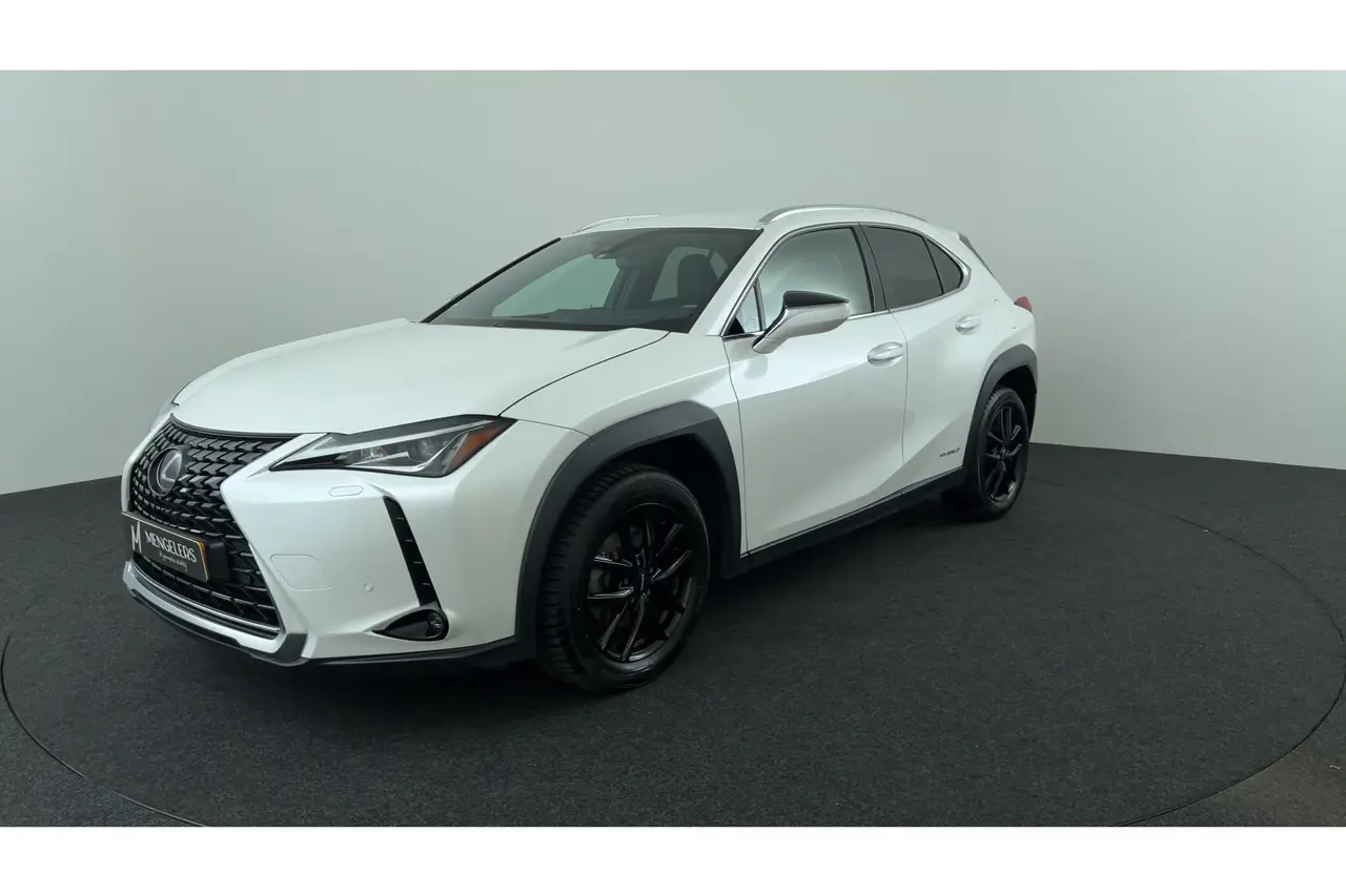 Lexus UX 250H Business Line 2020, foto 1