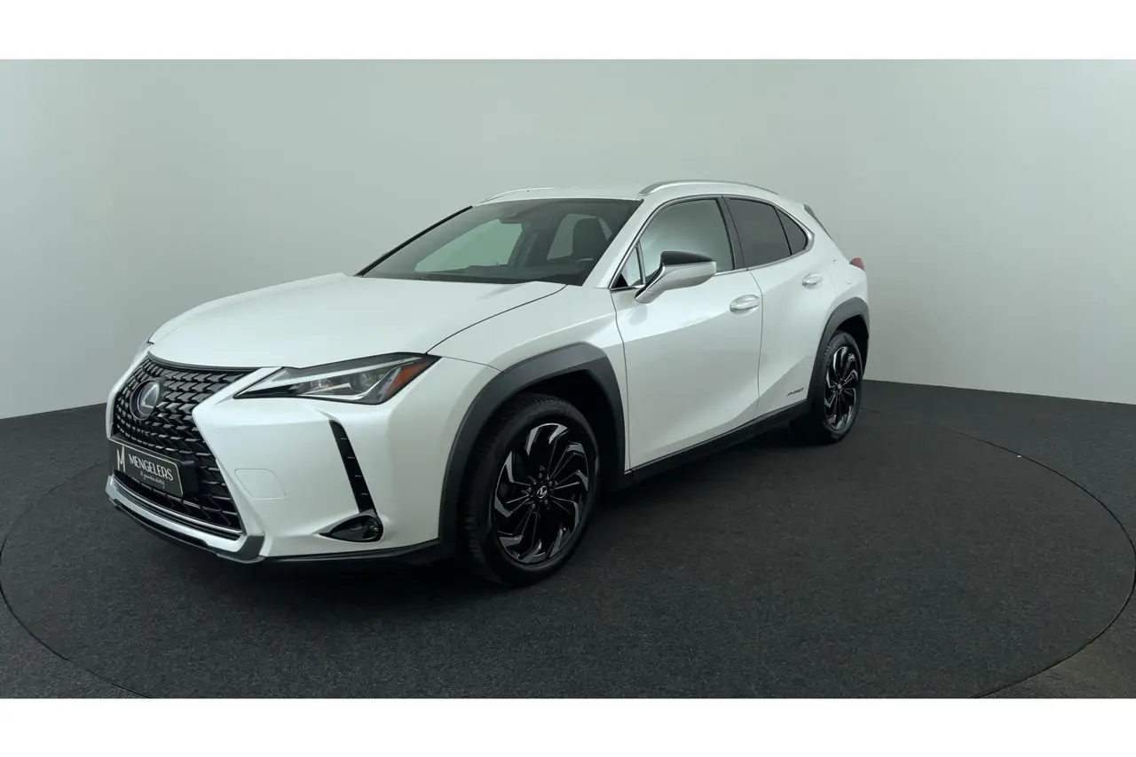 Lexus UX 250H AWD (All Wheel Drive) Luxury Line 2019, foto 1