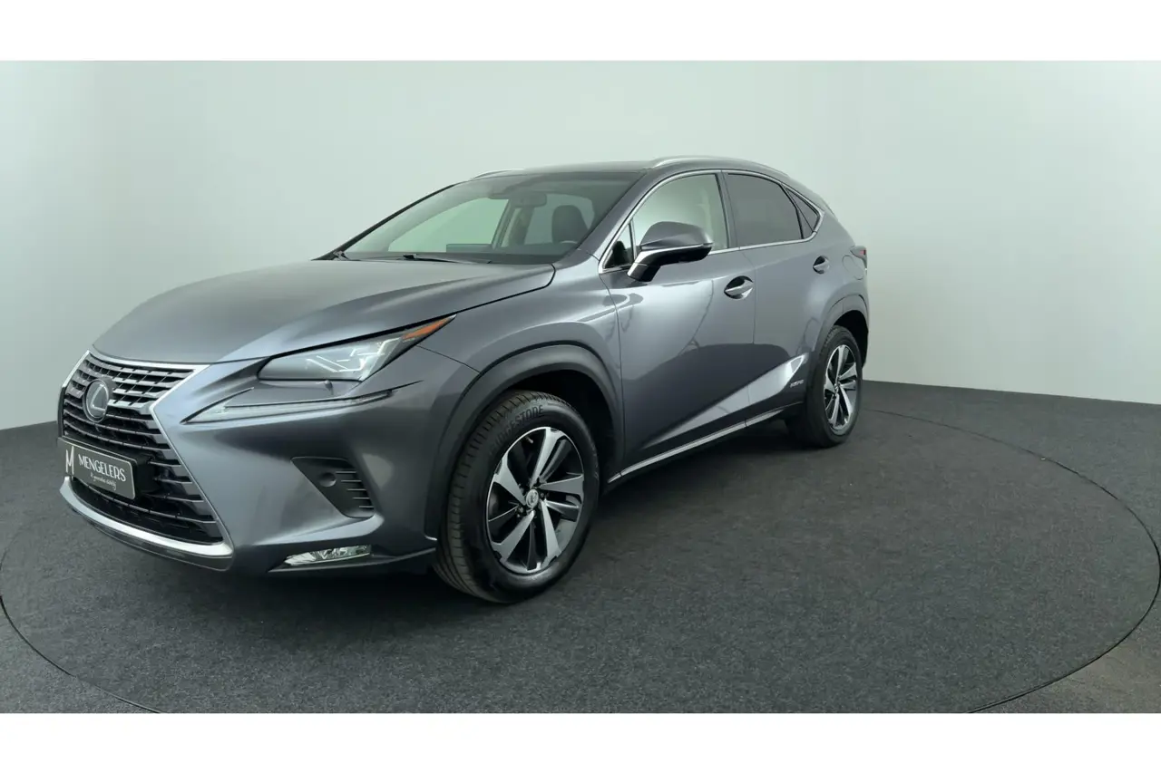 Lexus NX 300H AWD President Line Schuif Kanteldak 2018, photo 1